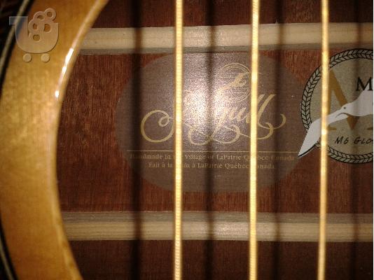 Seagull M6